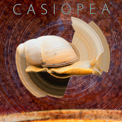 Casiopea - Casiopea (Alfa, ALR-6017) · LP · Gradation labels · Repress