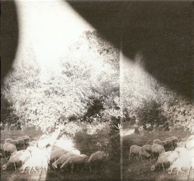 Godspeed You Black Emperor! - Asunder, Sweet And Other Distress (Constellation, CST111-1) · LP · 180 Gram