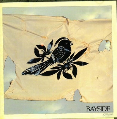 Bayside - The Walking Wounded (Victory Records, VR336) · LP · Orange [Clear Orange] · Reissue, Repress
