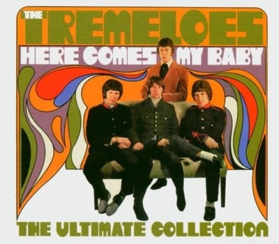 The Tremeloes - Here Comes My Baby (Epic, BN 26310) · LP · Santa Maria Pressing