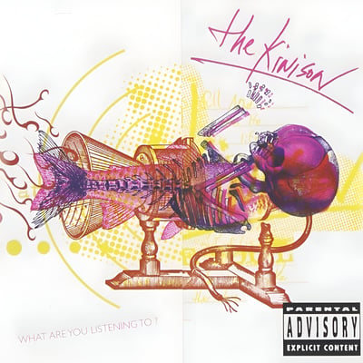 The Kinison - What Are You Listening To? (LaSalle, 93198-2) · LP