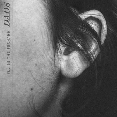 Dads - I'll Be The Tornado (6131 Records, 6131075) · LP · Green Translucent · Repress