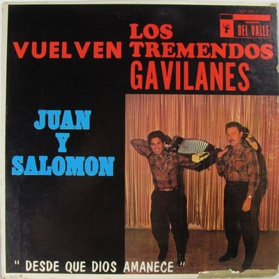 Los Tremendos Gavilanes - Vuelven Los Tremendos Gavilanes (Del Valle, VLP-1053) · LP