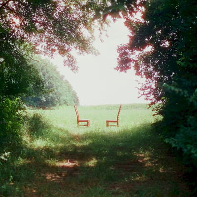 Ratboys - Singin' To An Empty Chair (New West Records, NW5959) • 2xLP • Indie Retail Exclusive, Green • M/M
