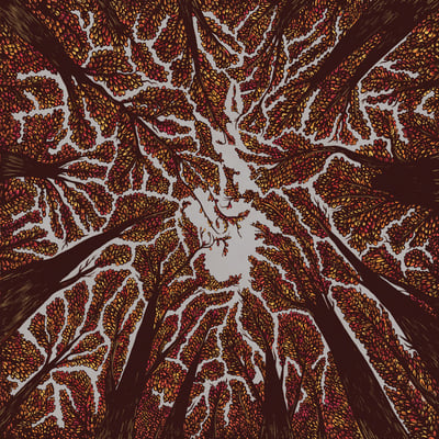 Trash Boat - Crown Shyness (Hopeless Records, HR2490-1) • LP • Black and Grey A-side/B-side