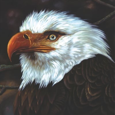 Mogwai - The Hawk Is Howling ([PIAS] Recordings, PIASC1000LPX) • 2xLP • White • Limited Edition, Reissue, Remastered