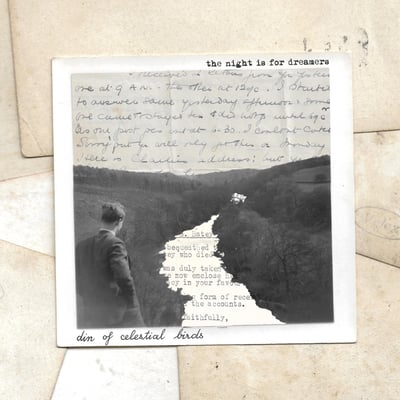 Din Of Celestial Birds - The Night is for Dreamers (A Cheery Wave Records, WAVE014) • LP • Blob Variant • Limited Edition