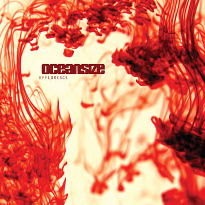Oceansize - Effloresce (Beggars Banquet, BBQLP 235X) • 2xLP • Yellow/Red Swirl • M/NM • Reissue, Remastered