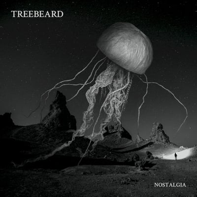 Treebeard - Nostalgia (Bird's Robe Records, BRRV182) • 2xLP • BLISS ed. - Clear w/ Black & White splatter
