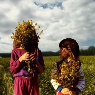 Open Hand - Honey (Blacktop Records, BTR062) • LP