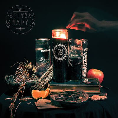 Silver Snakes - Year Of The Snake (Bridge Nine Records, B9R204) • LP • Green, Coke Bottle • Limited Edition