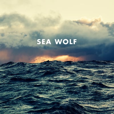Sea Wolf - Old World Romance (Dangerbird Records, DGB091V) • LP