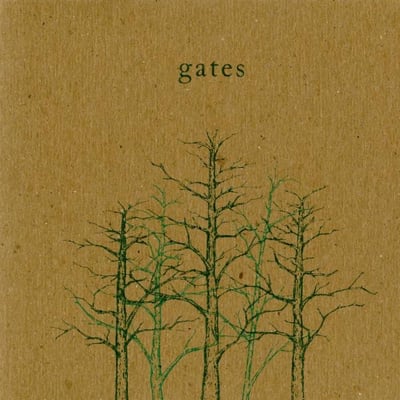 Gates - The Sun Will Rise And Lead Me Home (Devildance Records, DDW2-008) • 12" • Limited Edition, Repress