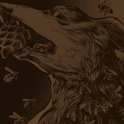 Chora - There Lies A Friend I Once Knew (Dunk!Records, DNK24181) • LP • Smoky Amber with Bone and Forest splatter