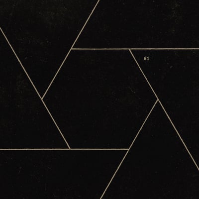 Thrice - Palms (Epitaph, 87594-1) • LP • Grey Opaque With Black Swirl • Limited Edition