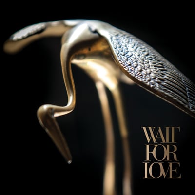 Pianos Become The Teeth - Wait For Love (Epitaph, 87544-1) • LP • Clear • Limited Edition
