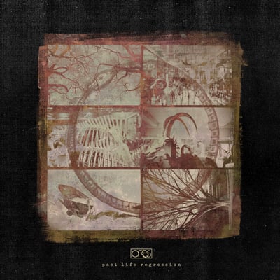 Orbs - Past Life Regression (Equal Vision Records, 1167) • 2xLP • Brown Chesnut / Maroon Marble • Limited Edition