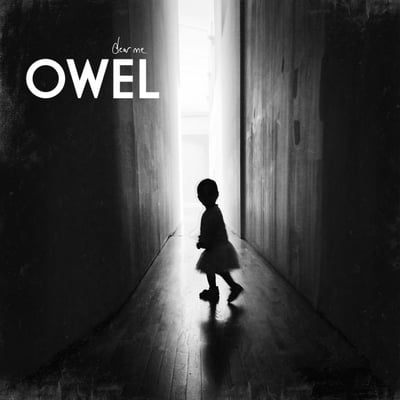 Owel - Dear Me (Equal Vision Records, EVR366) • 2xLP • Black w/ White Splatter • Limited Edition