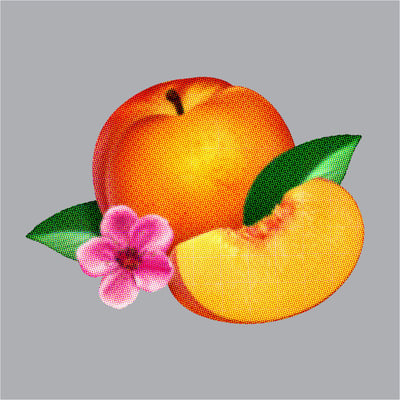 Phoenix - Bankrupt! (Glassnote, GLS-0140-01) • LP