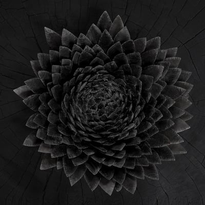 Jónsi - Obsidian (Krúnk, KRUNK76LP) • 2xLP • Black / Gold Galaxy • Limited Edition, Reissue