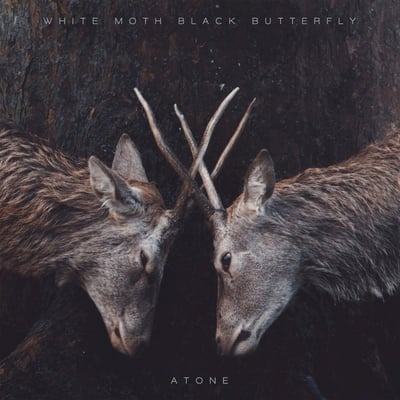 White Moth Black Butterfly - Atone (Kscope, KSCOPE962) • LP