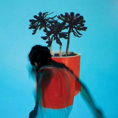 Local Natives - Sunlit Youth (Loma Vista, LVR00015) • LP • White, 130g