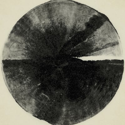 Cult Of Luna - A Dawn To Fear (Metal Blade Records, 3984-15668-1) • 2xLP • Clear Gray Marbled • NM/NM • Limited Edition