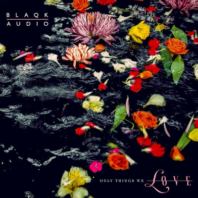 Blaqk Audio - Only Things We Love (Not On Label (Blaqk Audio Self-released), 538468071) • LP • Water • Limited Edition, Picture Disc