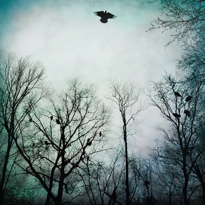 Over the Ocean - Be Given To The Soil (Spartan Records, SPAR006) • 2xLP • Clear • Limited Edition