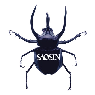 Saosin - Saosin (SRC Vinyl, src014) • LP • Clear Black Smoke • Limited Edition, Reissue