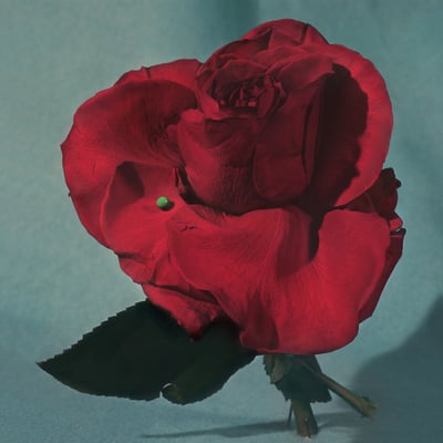 Metz - Up On Gravity Hill (Sub Pop, SP1560) • LP • Clear [w/ Red Swirl] • Limited Edition