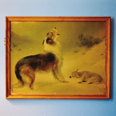 Explosions In The Sky - The Rescue (Temporary Residence Limited, TRR326) • LP • Orange Dusty Opaque • Limited Edition, Reissue, Remastered