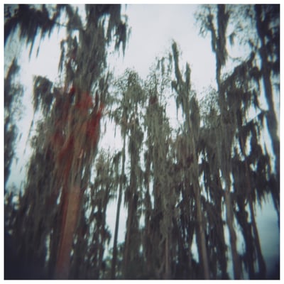 The Lulls in Traffic - Rabbit In The Snare (The Vanguard Room, VAN-015) • LP