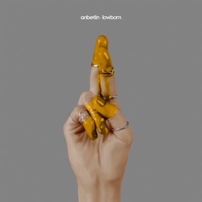 Anberlin - Lowborn (Tooth & Nail Records, TNV000035) • LP • Gold • Limited Edition