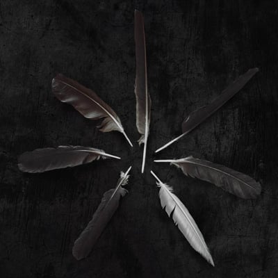 Caspian - Dust and Disquiet (Triple Crown Records, 03185-1) • 2xLP • White/Emerald Green Vinyl / White/Emerald Green Vinyl • Limited Edition, Repress
