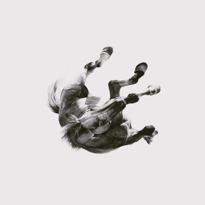 Anberlin - Dark Is The Way, Light Is A Place (Universal Republic Records, B0014711-01) • LP • 180 Gram