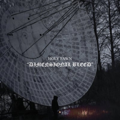 Holy Fawn - Dimensional Bleed (Wax Bodega, WAX-021) • 2x12" • Black and White A-Side/B-Side • Limited Edition