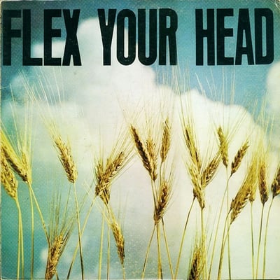Various - Flex Your Head (Dischord Records, DISCHORD 7) • LP • White • Reissue