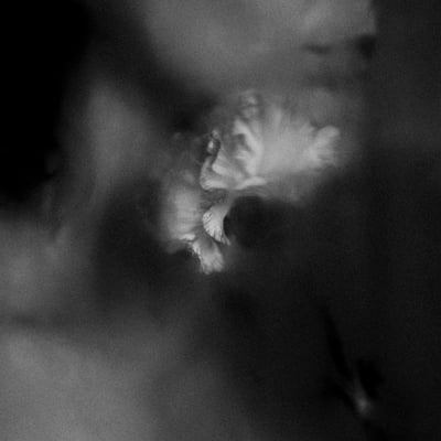 Holding Absence - Holding Absence (SharpTone, 4781-1) • LP • White/Black Marbled • Limited Edition, Reissue