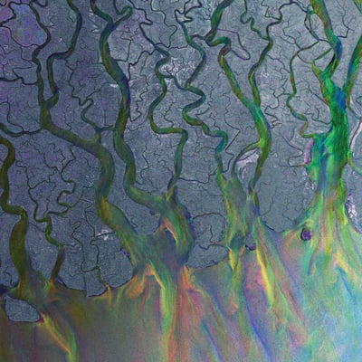 Alt-J - An Awesome Wave (Atlantic, 532346-1) • LP • Gatefold