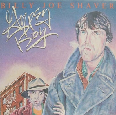 Billy Joe Shaver - Gypsy Boy (Capricorn Records, CPN-0192) • LP • Terre Haute Pressing