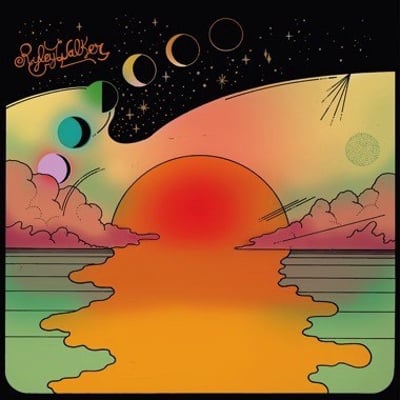Ryley Walker - Golden Sings That Have Been Sung (Dead Oceans, DOC121) • LP
