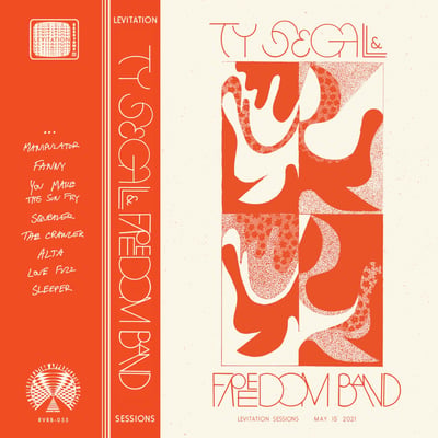 Ty Segall & Freedom Band - Freedom’s Goblin (Drag City, DC675) • 2xLP