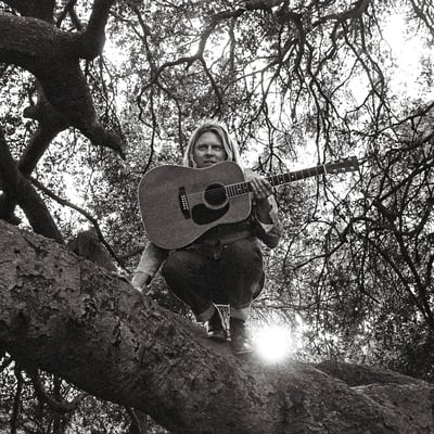 Ty Segall - "Hello, Hi" (Drag City, DC830) • LP