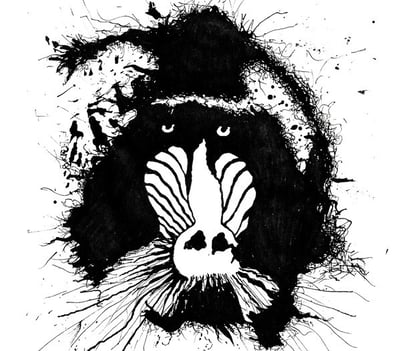 Feral Ohms - Feral Ohms (Silver Current Records, SC31) • LP