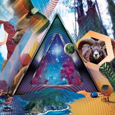 311 - Universal Pulse (311 Records, 88088217521) • LP + CD