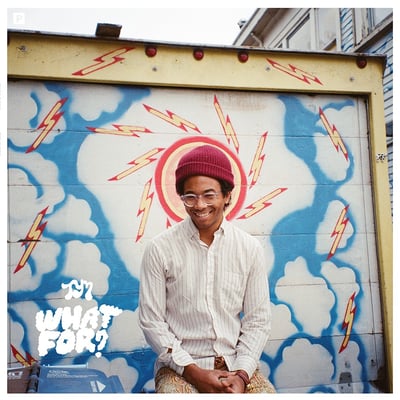 Toro Y Moi - What For? (Carpark Records, CAK102) • LP