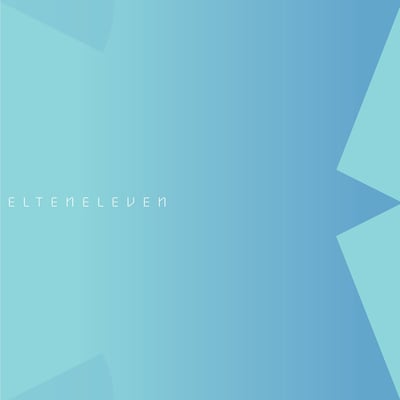 El Ten Eleven - Fast Forward (Fake Record Label, FRL011) • LP • Limited Edition