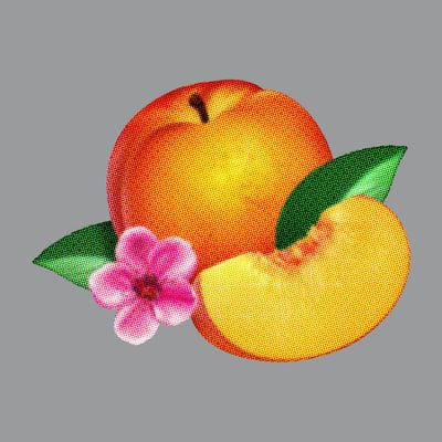Phoenix - Bankrupt! (Glassnote, GLS-0140-01) • LP