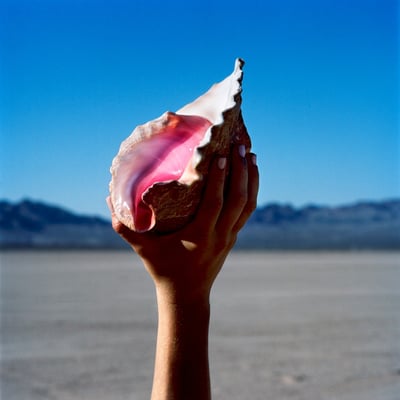 The Killers - Wonderful Wonderful (Island Records, B0027047-01) • LP • Gatefold